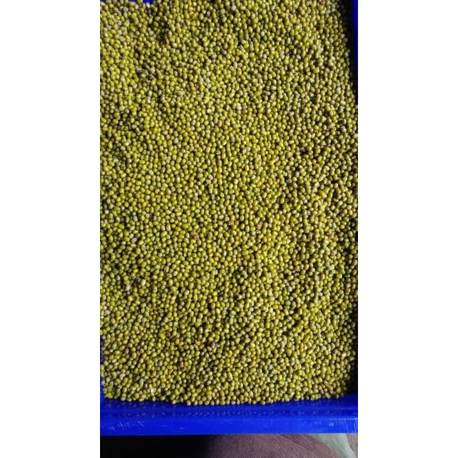 kacang hijau yulek / kacang ijo bening per 500gr