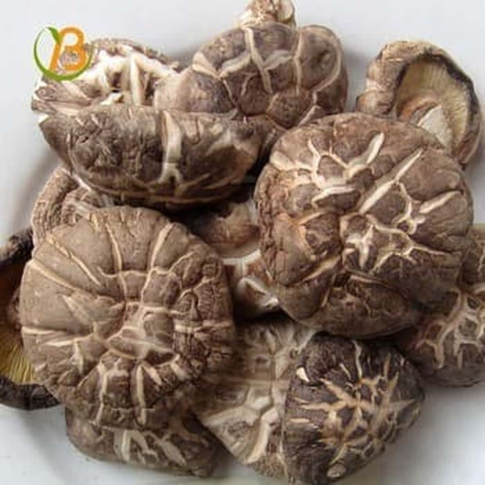 jamur shiitake 100gr jamur shitake jamur yoko hioko