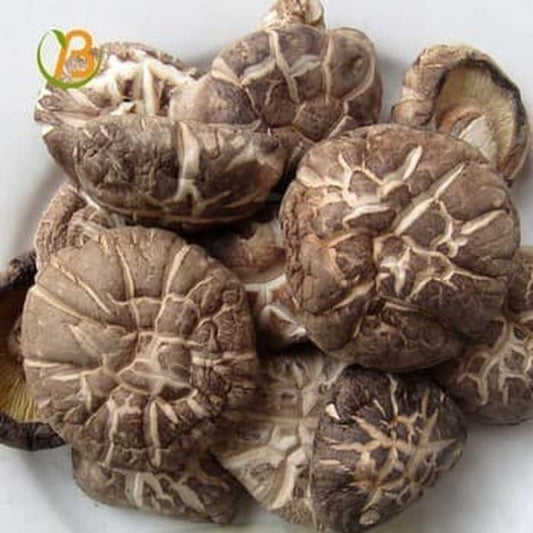 jamur shiitake 100gr jamur shitake jamur yoko hioko