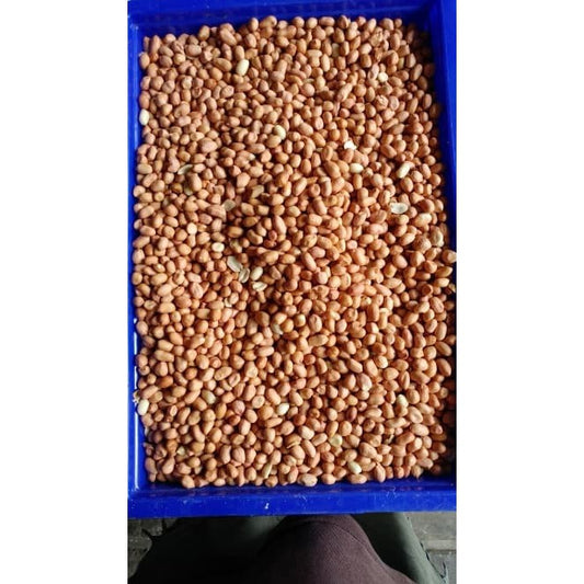 kacang tanah besar 8m per 500gr TUBAN peanuts