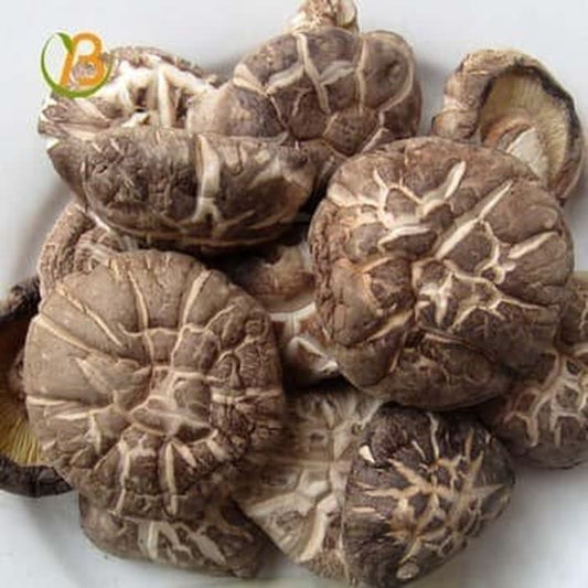 jamur shiitake 100gr jamur shitake jamur yoko hioko