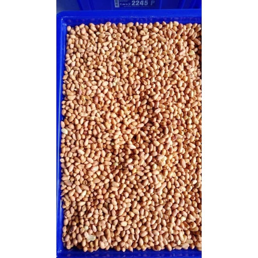kacang tanah kecil 7m per 1kg TUBAN