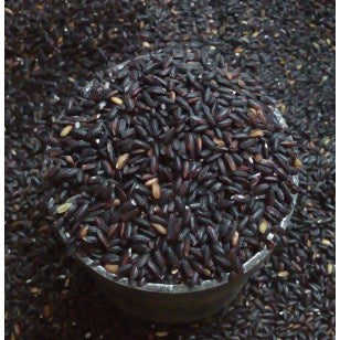 beras ketan hitam pk 500gr masih ada kulit ari lebih banyak vitamin