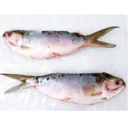 ikan bandeng tanpa duri 300g